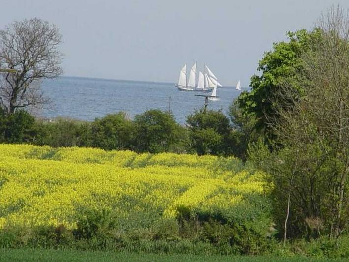 Bauernhaus für 4 Personen, mit Garten und Terrasse, kinderfreundlich in Geltinger Bucht - 3