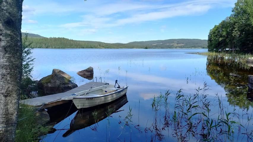 Hus för 4 Personer, med trädgård och utsikt, med husdjur i Värmland