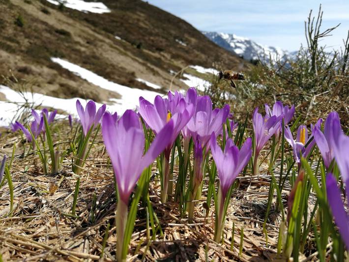 Ferienwohnung für 4 Personen, mit Balkon in Hippach - 2