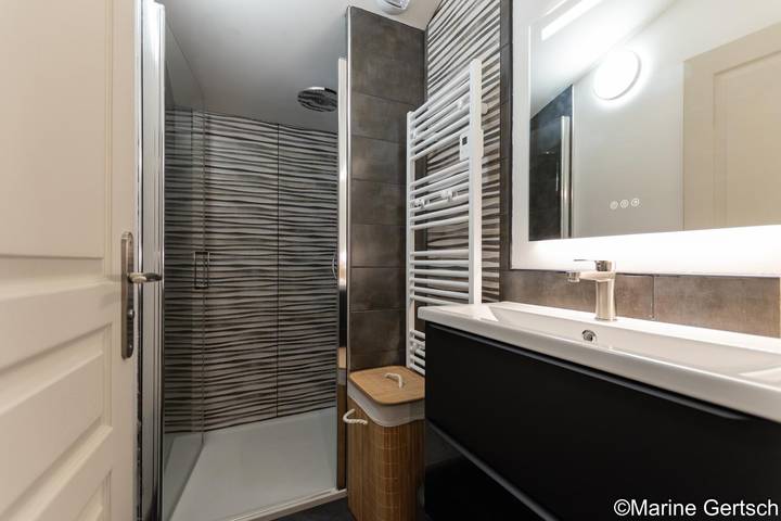 Gîte pour 6 personnes, avec terrasse, animaux acceptés dans Marne - 4