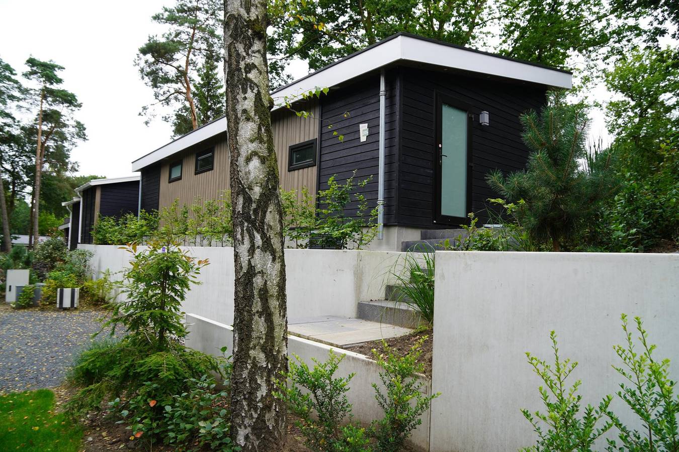 Vakantiepark De Rimboe en Woeste Hoogte — Vakantiewoning Eco | Comfort 4 persoons in Veluwe