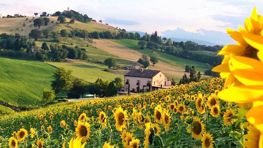 Casa vacanza per 2 persone, con Terrazza e Giardino nonché Piscina e Panorama a Tolentino
