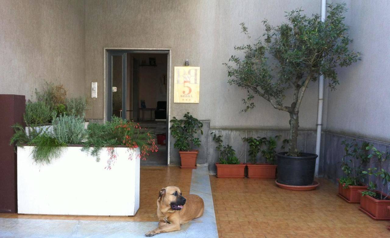 B&B 5 Sensi in Belpasso, Etna