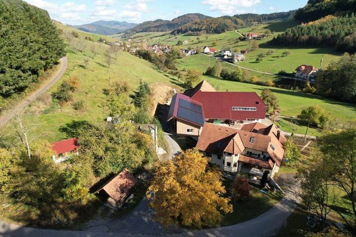Gîte pour 3 personnes, avec jardin et terrasse à Steinach - 3