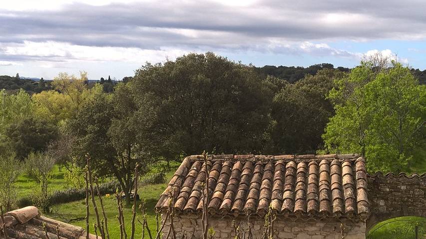 Gîte pour 6 personnes, avec jardin et jacuzzi ainsi que piscine et terrasse, animaux acceptés dans Parc naturel régional des Baronnies provençales - 4