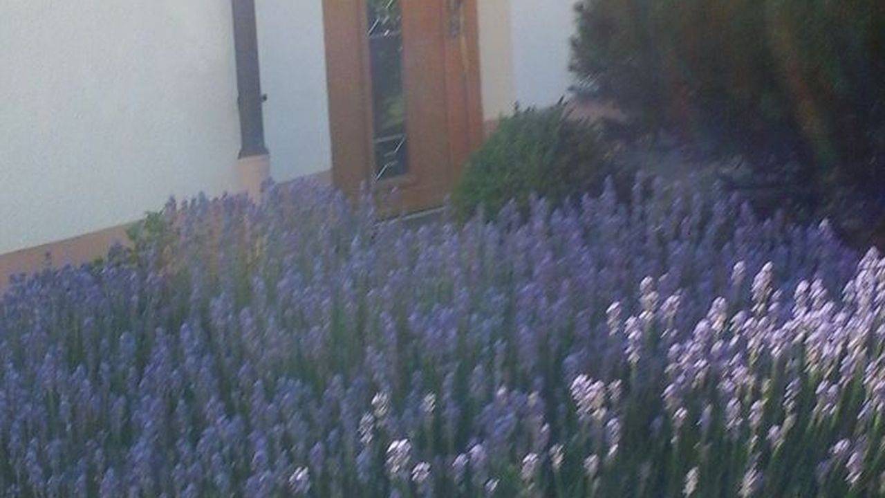 Ferienhaus für 4 Personen (80 m²) in Schotten in Schotten, Vogelsberg Region