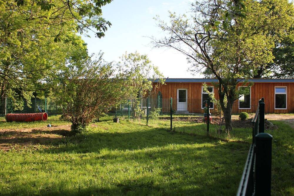 Waldrand in Ascheffel in Hütten, Rendsburg-Eckernförde
