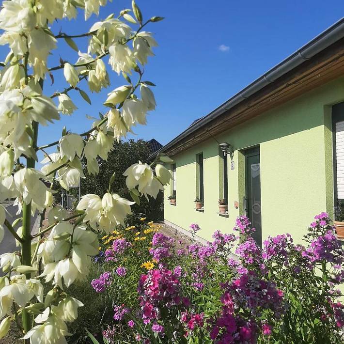 Ferienwohnung für 2 Personen, mit Terrasse und Ausblick in der Feldberger Seenlandschaft