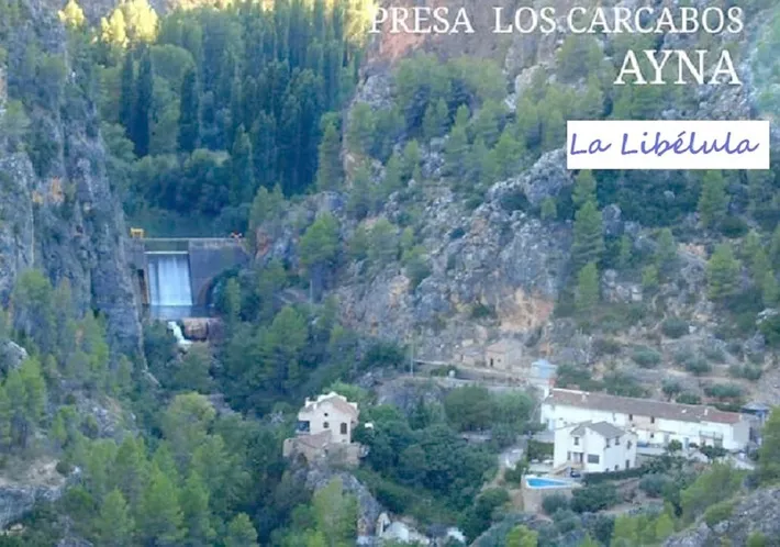 Casa de vacaciones para 9 personas, con vistas, Se admiten mascotas - 1