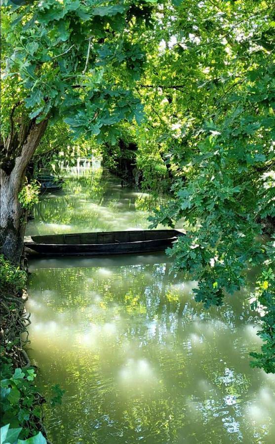 Gîte pour 2 personnes, avec vue et jardin, animaux acceptés dans Venise Verte Evasion