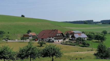 Ferienwohnung für 5 Personen in Elzach, Hochschwarzwald, Bild 1