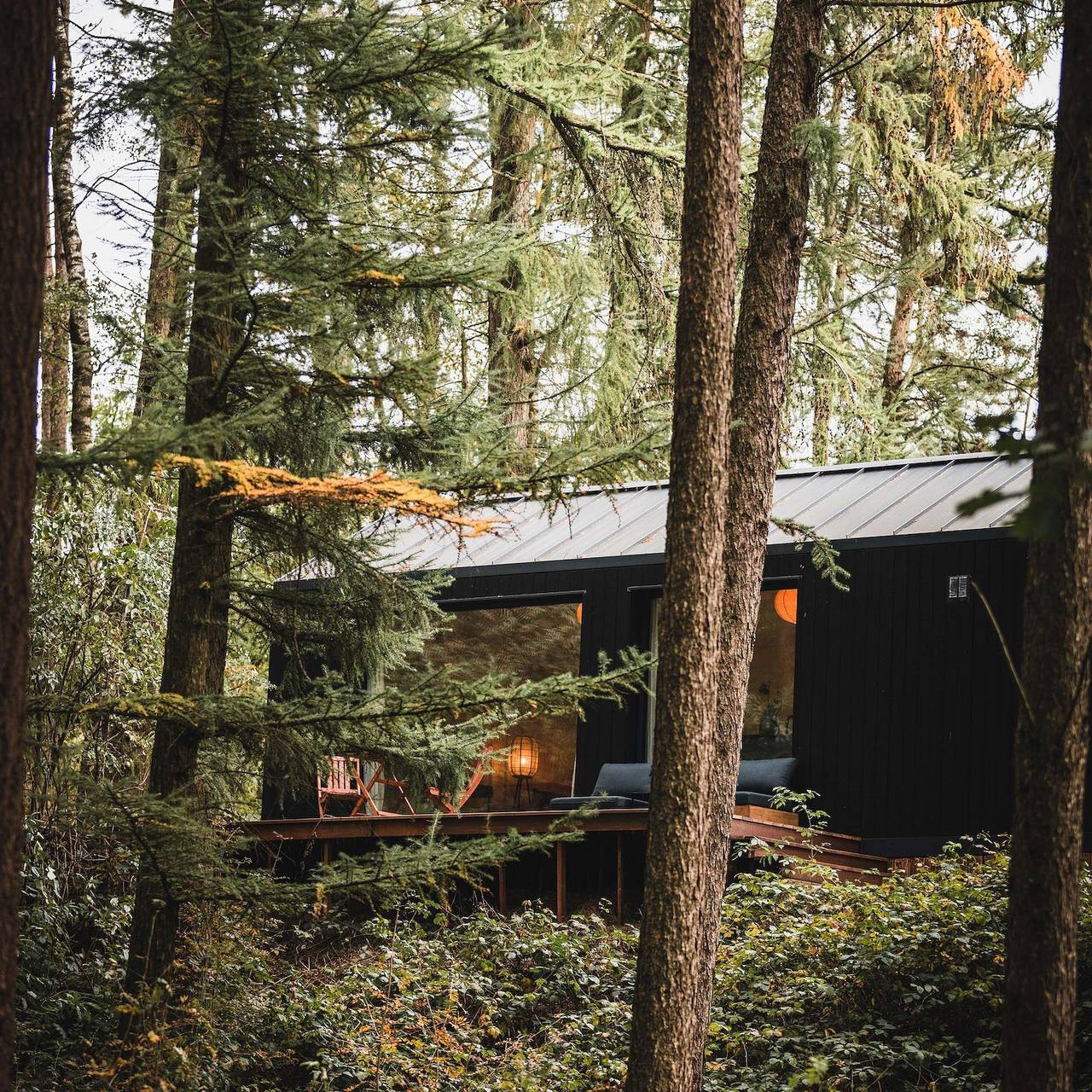 Wb Resort Gmbh — Koya Tiny Cabin | 2 Pers.  in Wilsum, Landkreis Grafschaft Bentheim