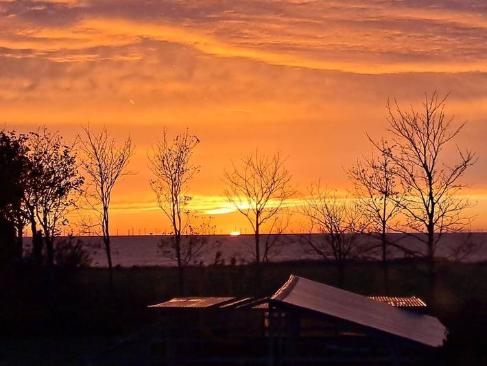 Chambre d’hôte pour 3 personnes, avec jardin au Danemark - 2