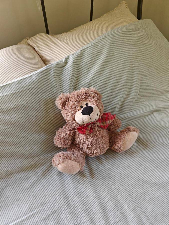 Ferienhaus für 4 Personen, mit Terrasse und Ausblick sowie Garten in Hjo - 3