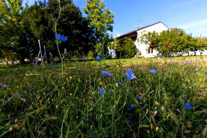 Gîte pour 8 personnes, avec vue et jardin à San Biagio di Callalta - 4