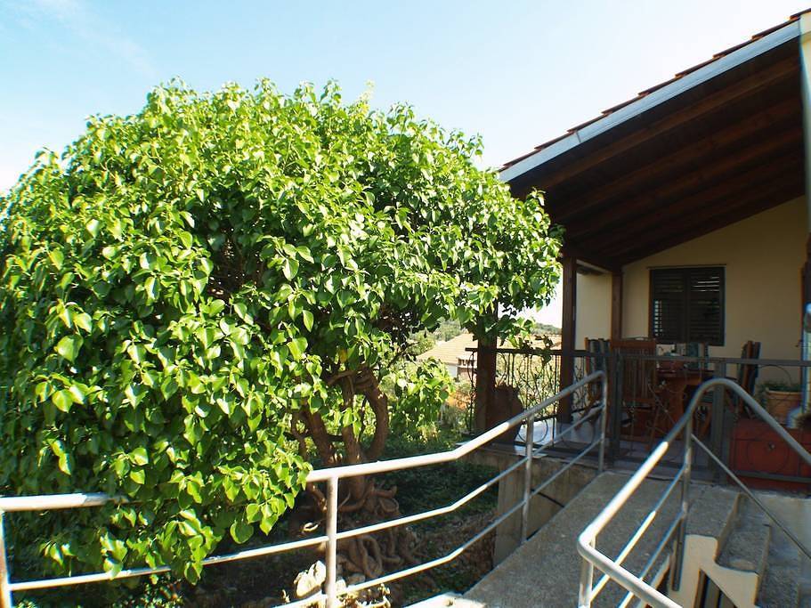 Ferienhaus in Kukljica mit Meerblick, Terrasse, Klimaanlage, W-Lan (4572-1) in Kukljica, Uglijan