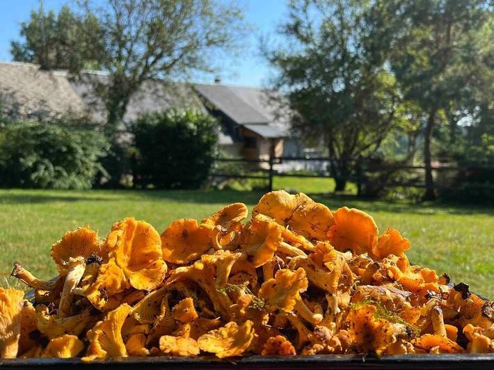 Location de vacances pour 8 personnes, avec vue sur le lac ainsi que vue et jardin, adapté aux familles à Saint-Yrieix-le-Déjalat - 2