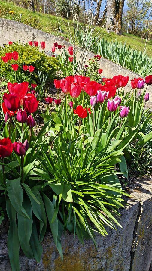 Maison d’hôte pour 2 personnes, avec vue et jardin dans les Ardennes - 2