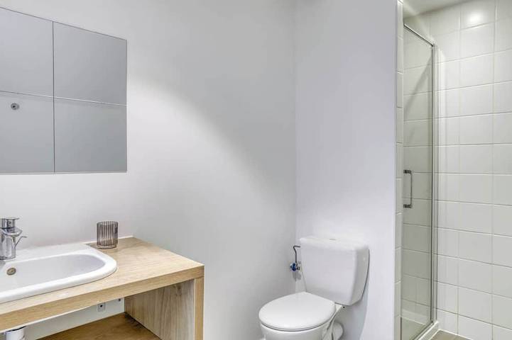 Ganze Wohnung, Grand Loft 45m2 50m Gare Annemasse in Annemasse, Saint-Julien-en-Genevois und Umgebung