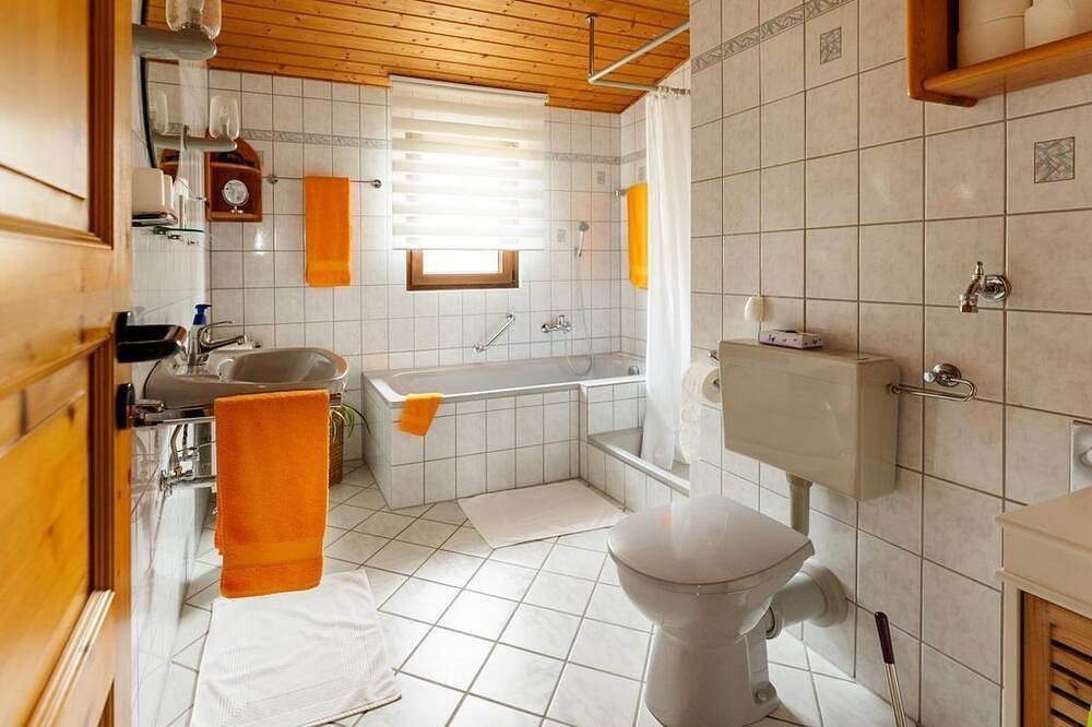 Ganze Wohnung, Ferienwohnung Schlossblick - Appartement/Fewo, Dusche und Badewanne, Nichtrauch in Gemünden, Nahetal