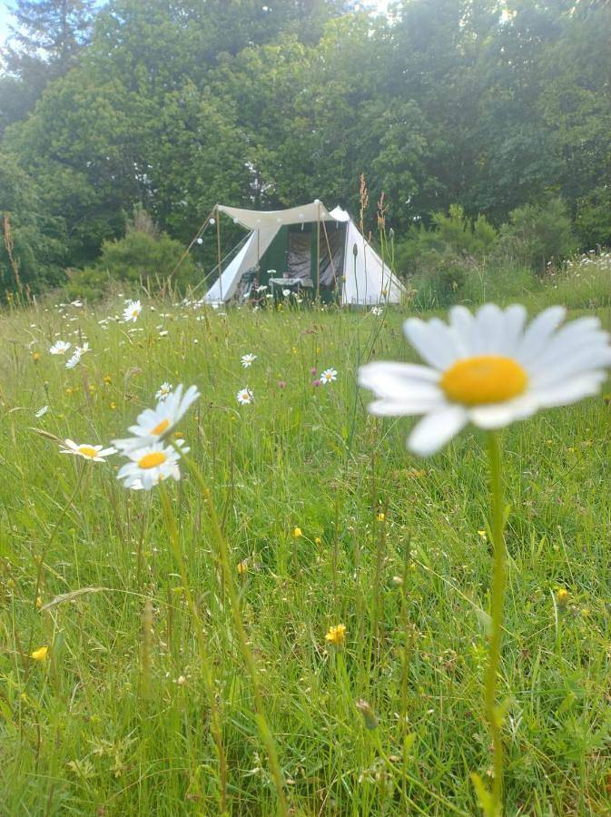 Séjour nature en tente équipée in Soubrebost, Parc Naturel Régional de Millevaches en Limousin