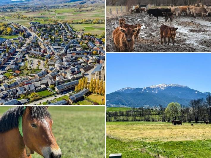 Location de vacances pour 9 personnes, avec piscine ainsi que jardin et vue à Llívia - 2