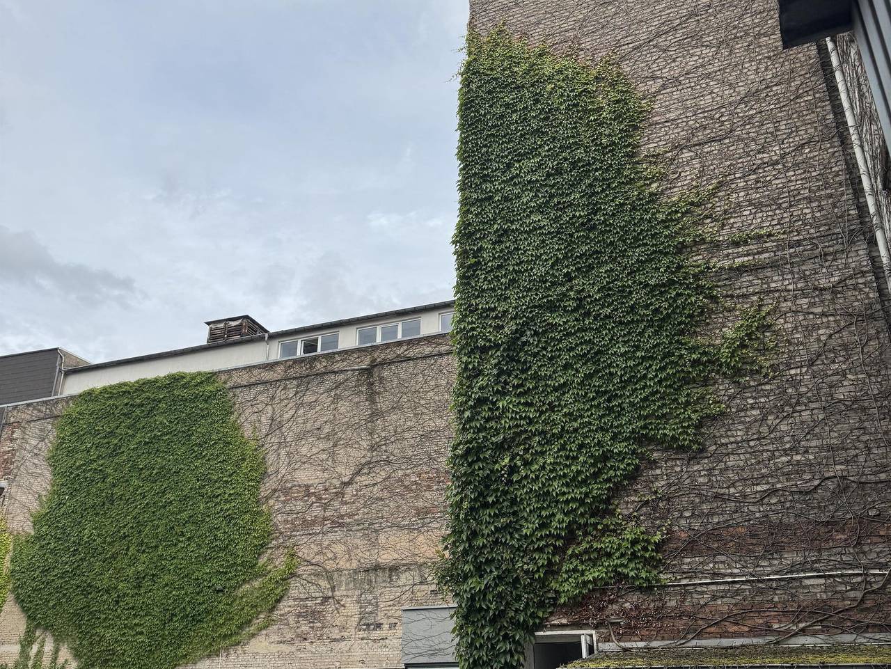 Ganze Ferienwohnung, Mainzer Loft - Mainzer Loft in Saarbrücken, Saarbrücken & Umgebung