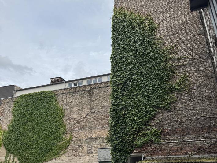 Ferienwohnung für 4 Personen, kinderfreundlich in Saarbrücken - 4