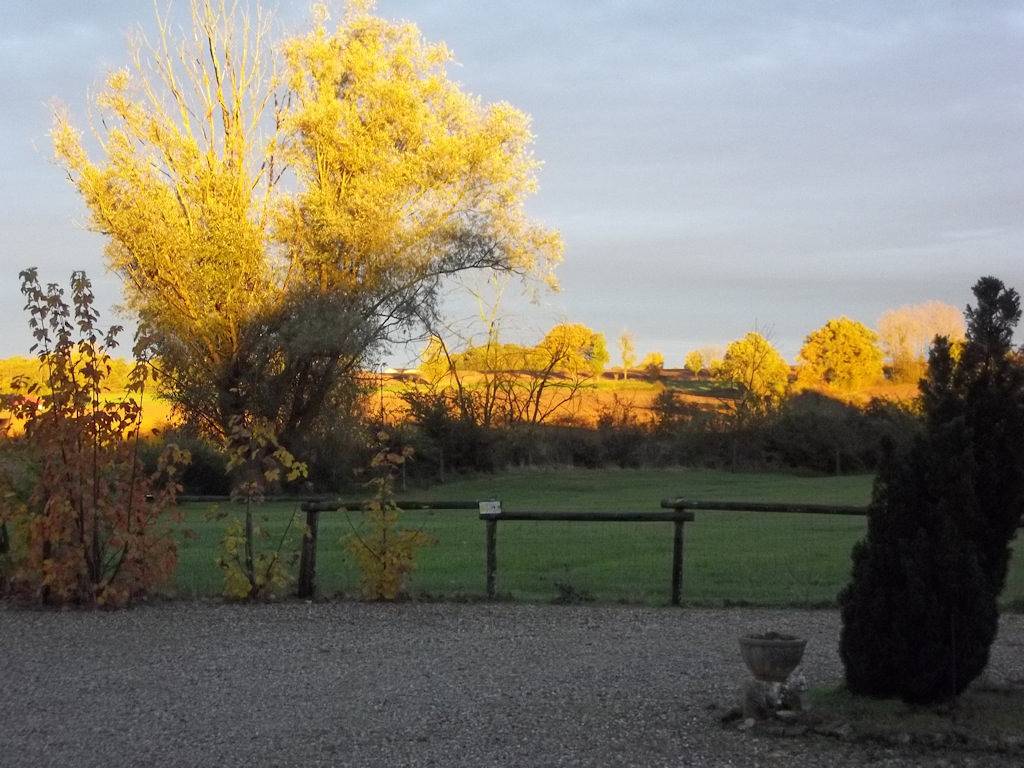 Gite Le Ry de Pouzioux in Chauvigny, Vienne (France)