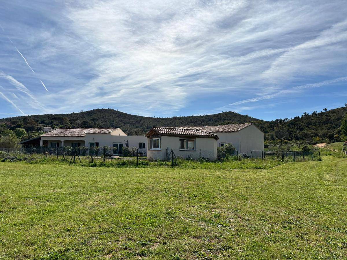 Le Pin d'Alep in Bormes-les-Mimosas, Parc national de Port-Cros