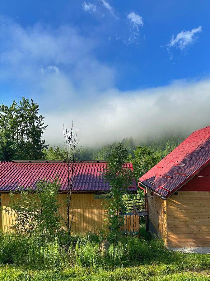 Gîte pour 4 personnes, avec jardin ainsi que vue et balcon à Alba (Romania) - 2