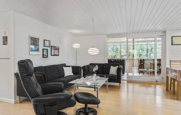 Ferienhaus für 6 Personen, mit Terrasse, mit Haustier in Skjern - 3