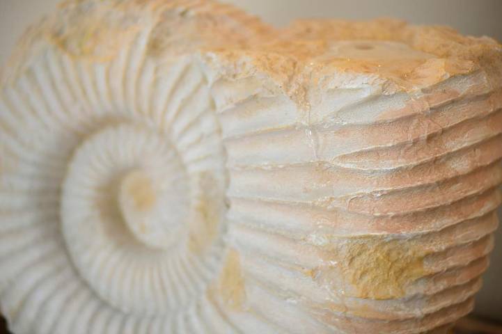 Ferienwohnung für 3 Personen, mit Seeblick und Ausblick sowie Balkon in Bitterfeld - 2