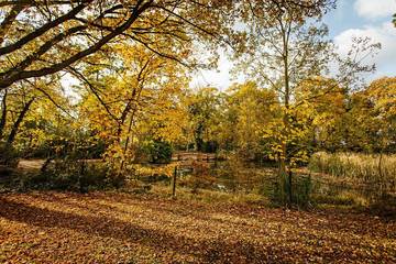 Holiday Home for 4 People in Burnham-on-Crouch, Essex, Photo 2