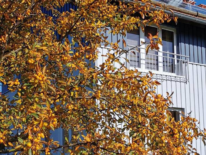 Ferienwohnung für 2 Personen, mit Garten in Hilders - 4