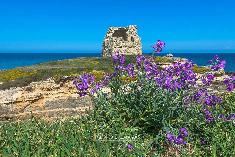 Villetta Cati. Meerblick mit Garten und Parkplatz. Ideal für 2 Familiengruppen in San Foca, Melendugno