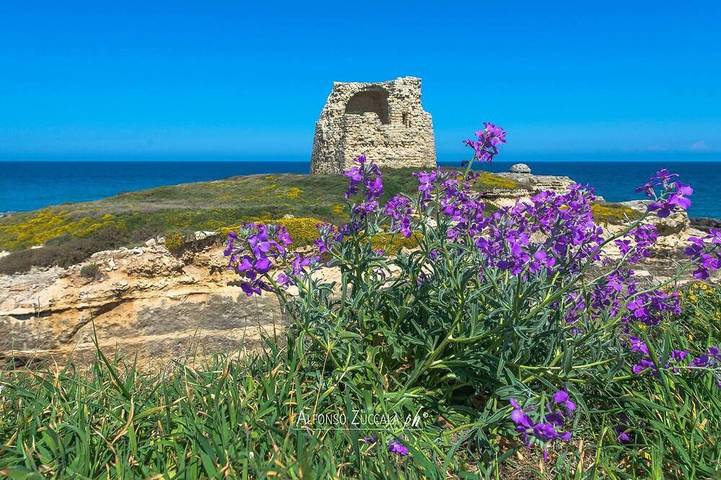 Villa für 9 Personen, mit Garten, mit Haustier