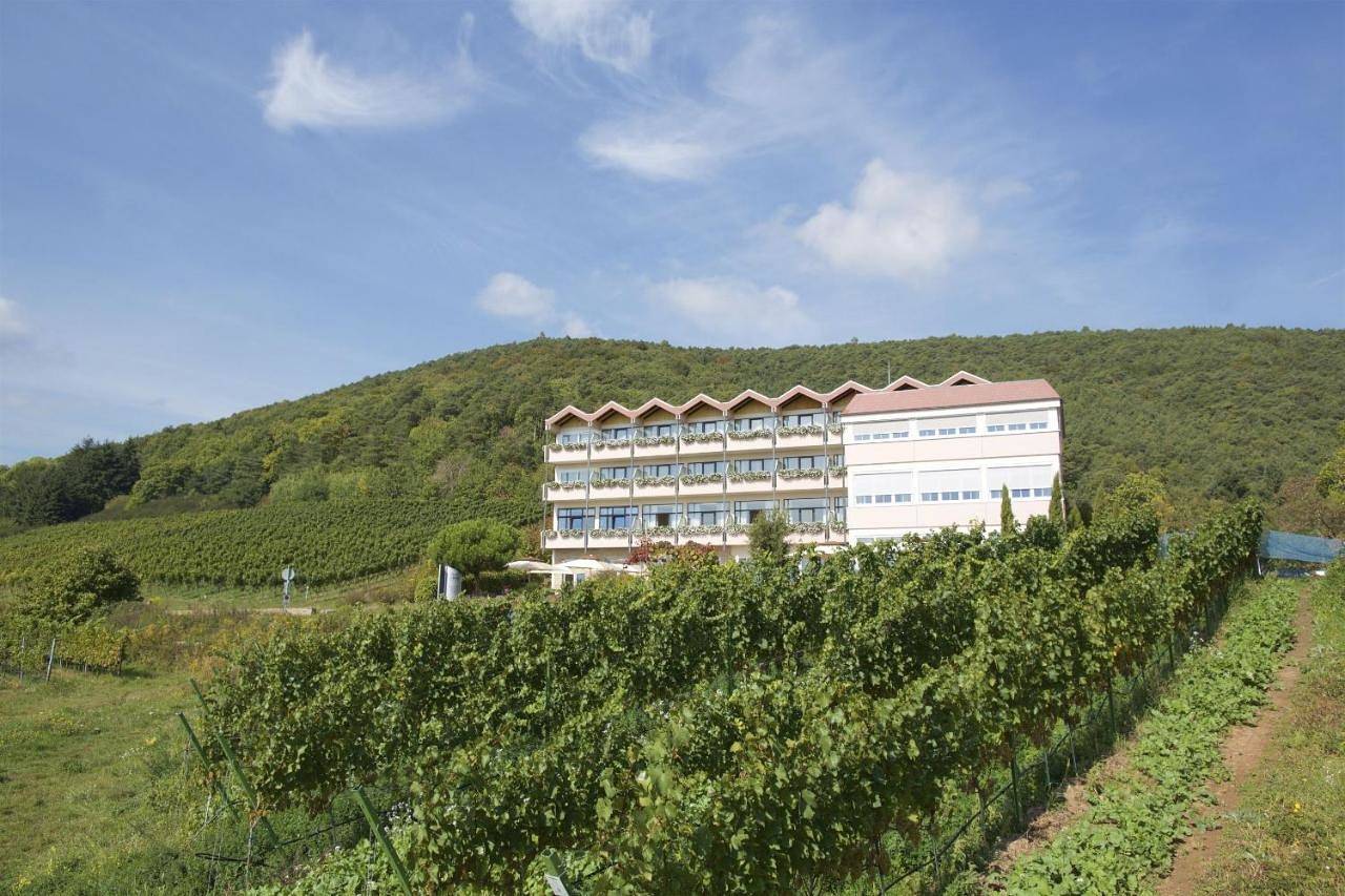 Arens Hotel 327mnn in Sankt Martin, Südliche Weinstraße