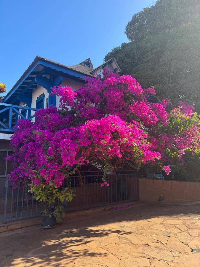 Hôtel pour 2 personnes, avec vue ainsi que piscine et jardin à Mamoudzou - 3