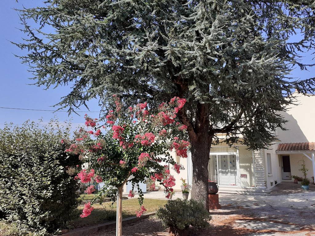 Maison de campagne Entre Terre, Mer et Vignes in Saint-Fort-sur-Gironde, Région de Jonzac