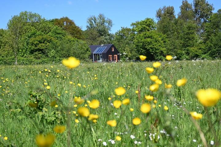Villa für 6 Personen, mit Garten und Ausblick auf Texel - 2