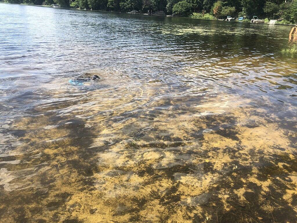 Log Cabin for 6 People in Wisconsin, USA