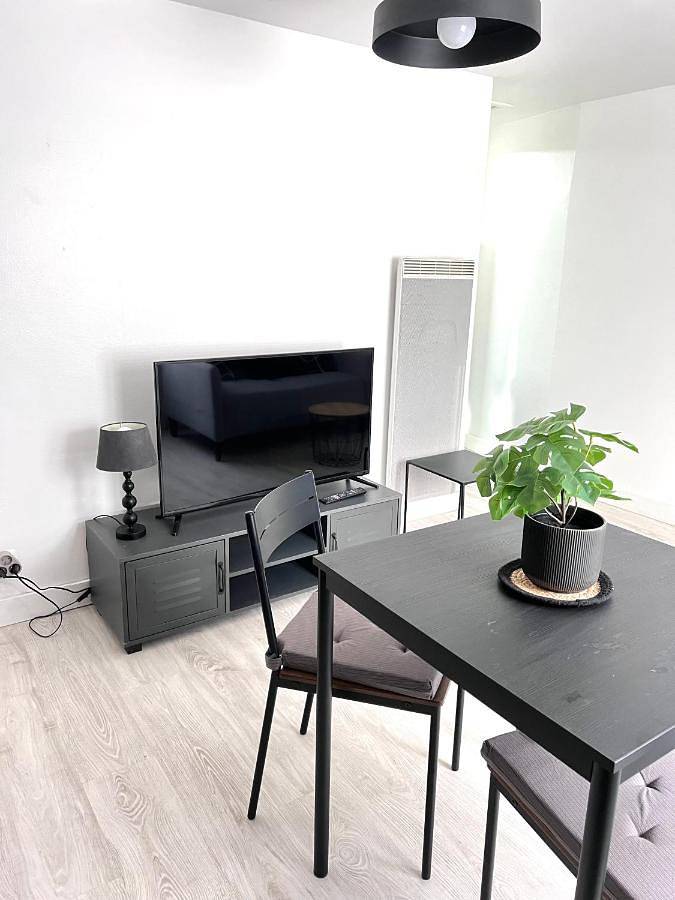 Appartement entier, Le gargantua, appartement à 500m du château in Chinon, Vallée de la Loire