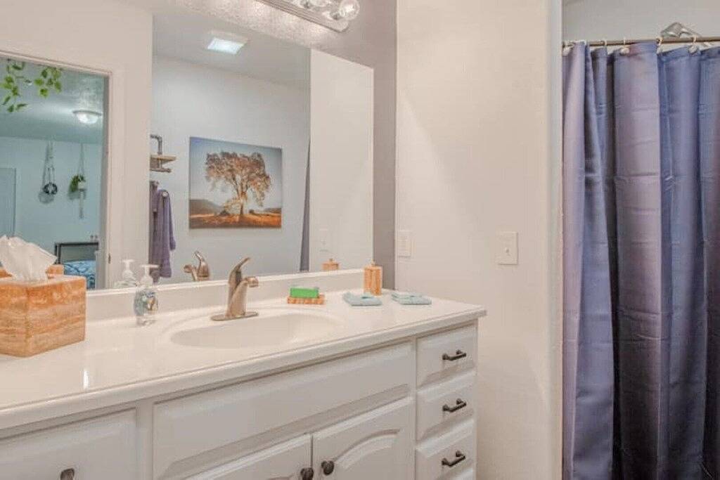Downtown 1Br • Kitchenette & Pet-Friendly in Orlando, Orange County (FL)