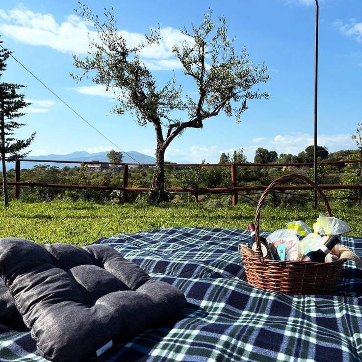 Chambre d’hôte pour 3 personnes, avec balcon et jardin ainsi que jacuzzi et piscine à Sessa Aurunca - 2