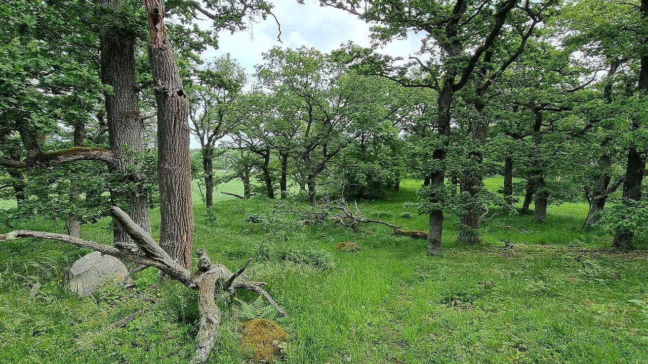 Ferienhaus für 4 Personen (50 m²) in Torshälla in Mälaren