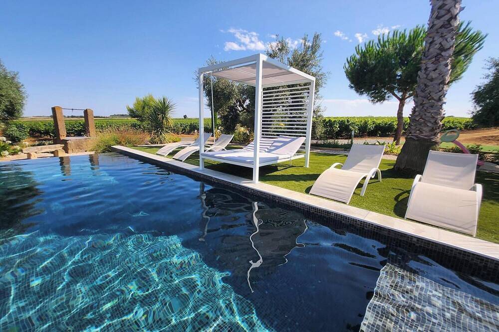 Villa contemporaine avec piscine à débordement dans domaine viticole in Servian, Côte méditerranéenne (France)
