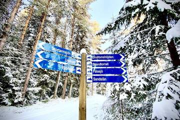 Ferienhaus für 4 Personen in Angermanland, Nordschweden, Bild 4