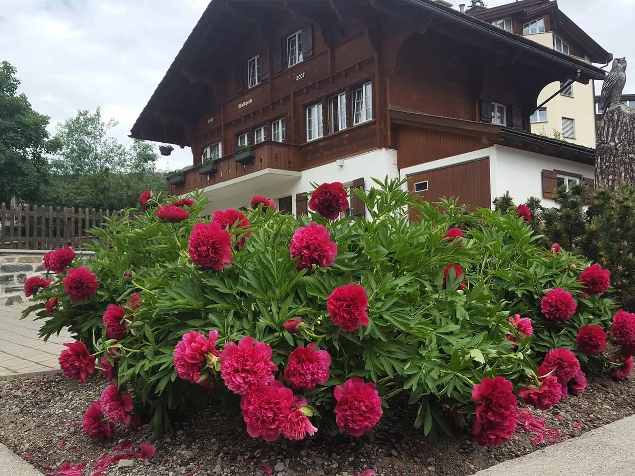 Ganze Wohnung, 3 Pièces 3 Personnes in Arosa, Plessur Alpen