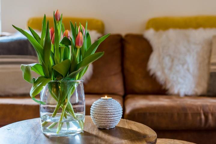 Ferienhaus für 2 Personen, mit Balkon/Terrasse und Terrasse auf Ameland - 4